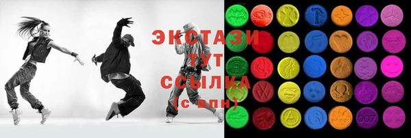 гашик Козельск