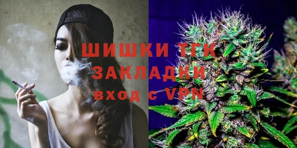 гашик Козельск