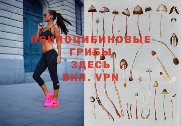 спайс Козловка