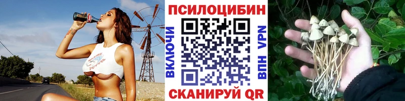 где купить наркотик  Красноармейск  блэк спрут онион  shop Telegram  Галлюциногенные грибы мухоморы 